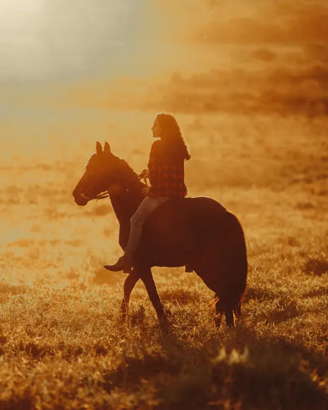 For the Rider, About Equine For the Rider, About Equine