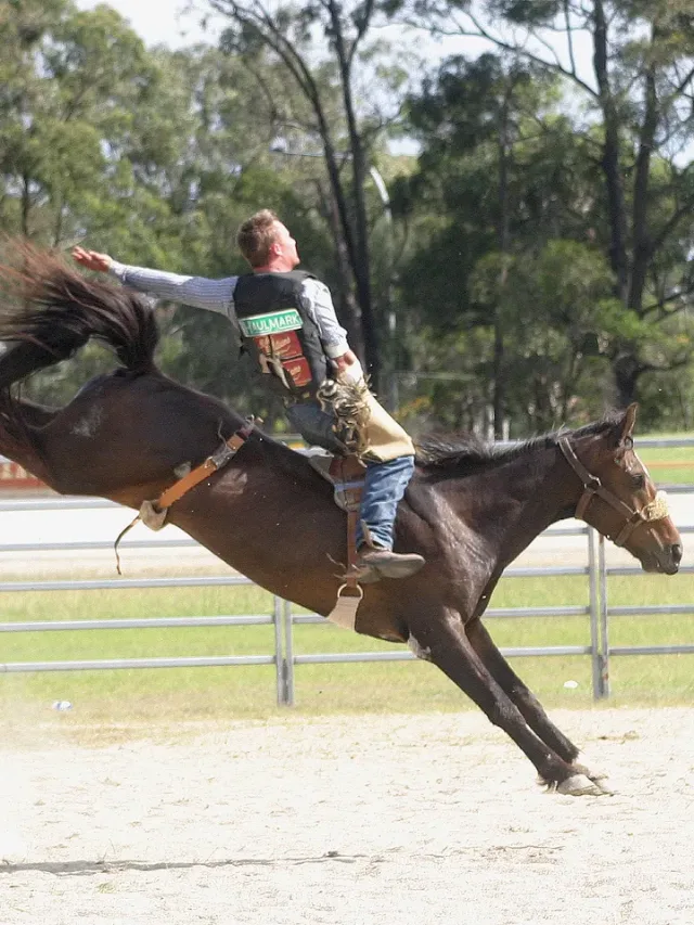 Riding Clothing collection Riding Clothing collection