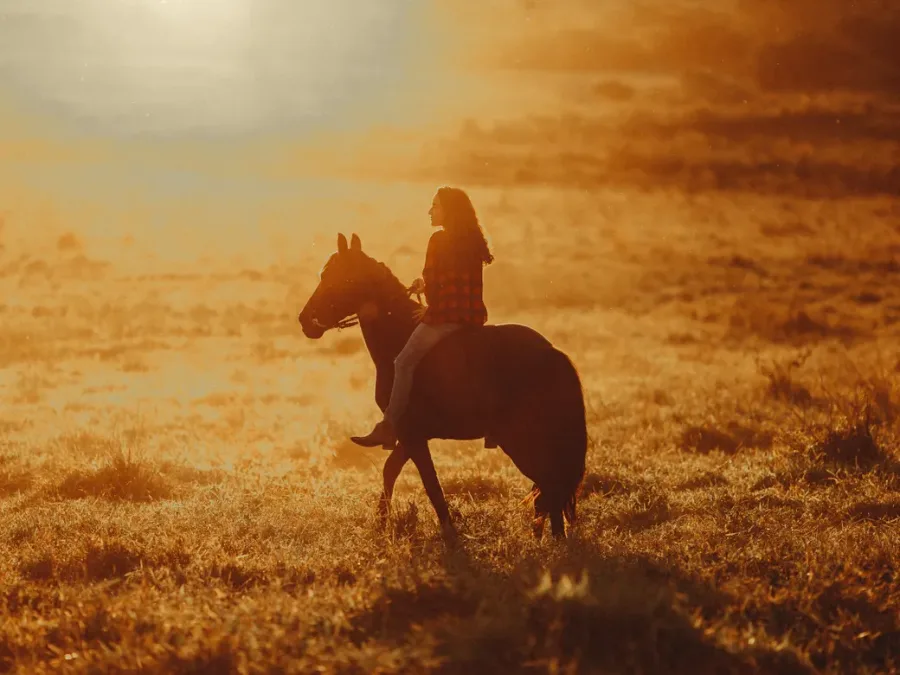 Rider in equestrian clothing Rider in equestrian clothing