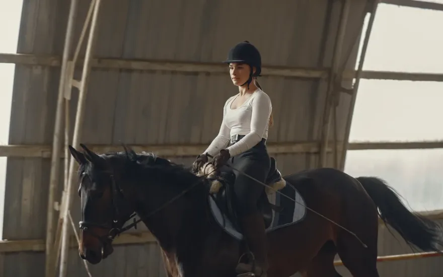 Jodhpurs vs Breeches: What's the Difference? Jodhpurs vs Breeches: What's the Difference?