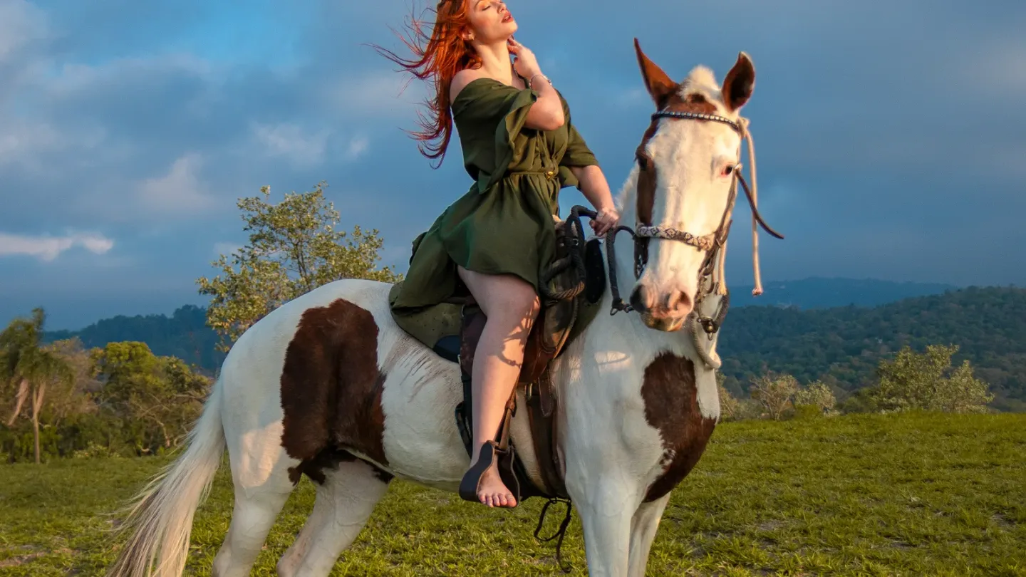 A rider and horse in the countryside, About Equine A rider and horse in the countryside, About Equine