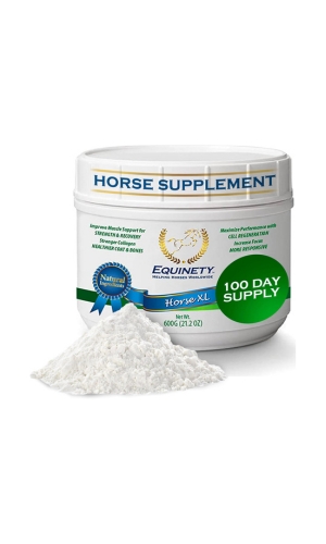 100 Day Supply Horse XL Horse Supplements