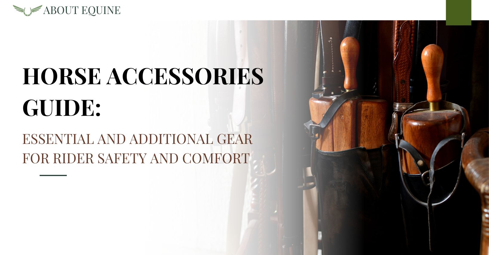 horse accessories guide