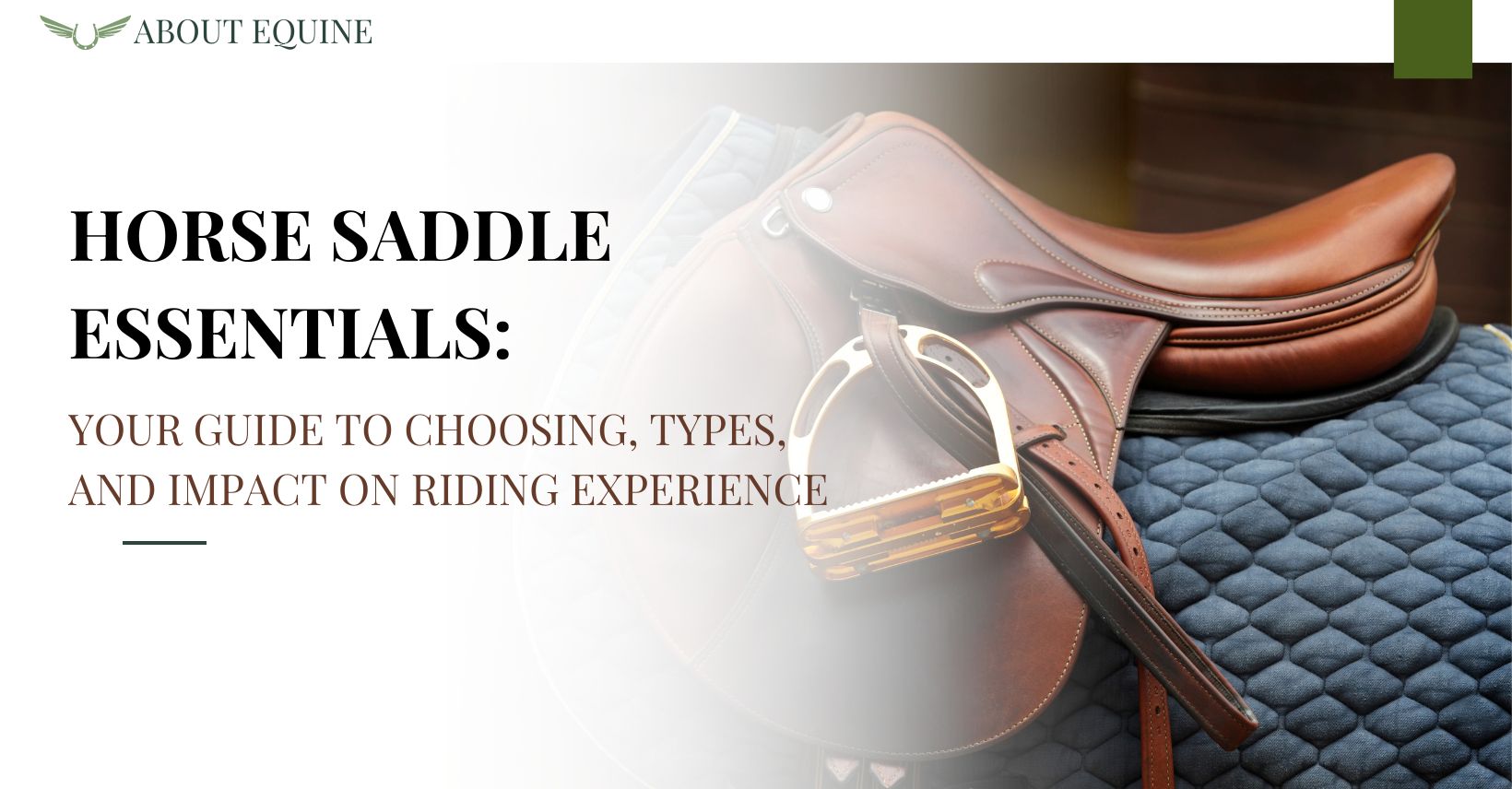 horse saddle essentials