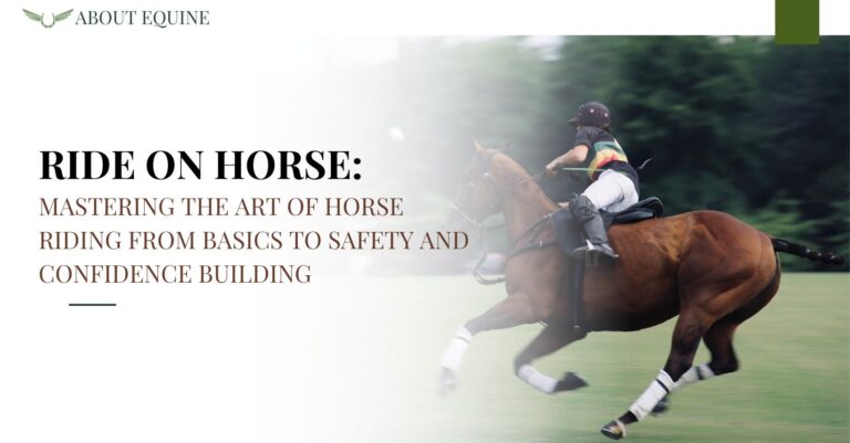 Ride On Horse: Mastering the Art of Horse Riding from Basics to Safety and Confidence Building